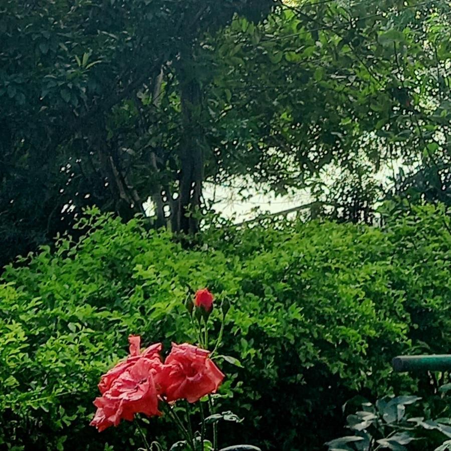 Tranquility Villa Shivpuri  Exterior photo